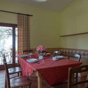 Three-Bedroom Villa 6